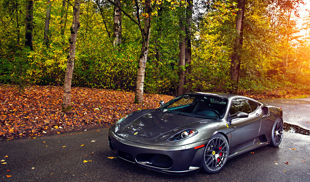 430, tuning, autumn, leaf, green, silver, sun, ferrari, wheels, trees