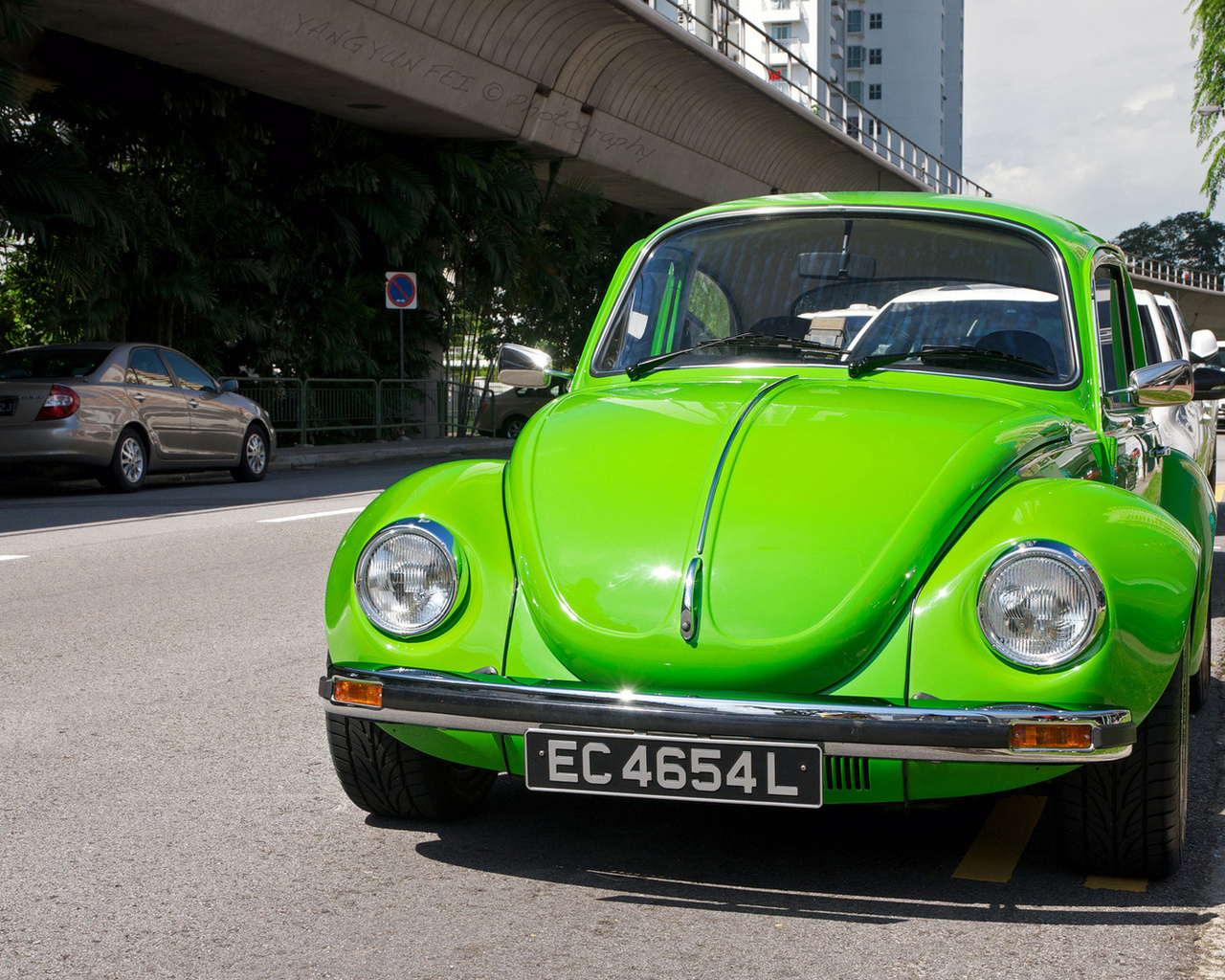 volkswagen beetle, , 