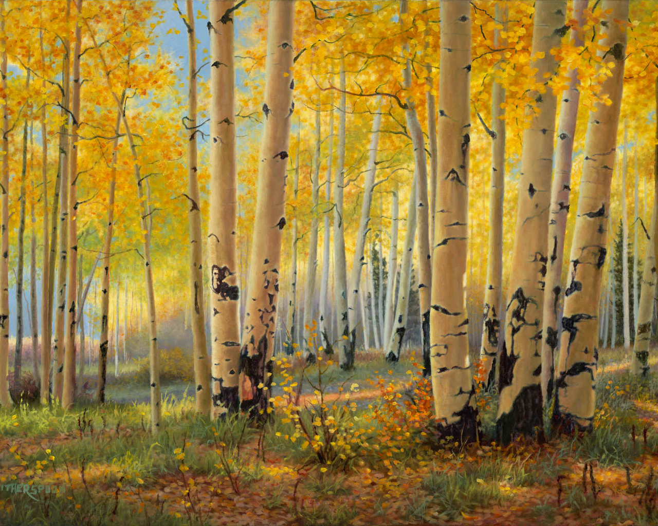 pillars of gold, , kay witherspoon