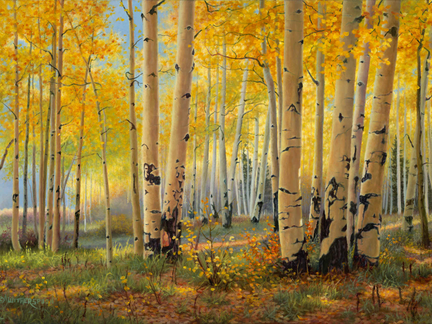 pillars of gold, , kay witherspoon