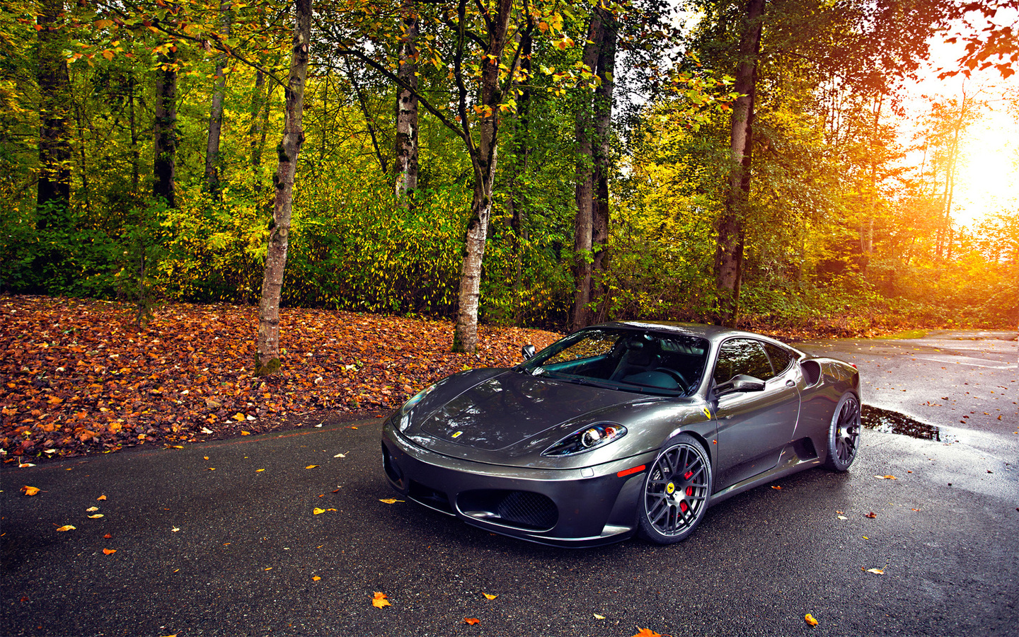 430, tuning, autumn, leaf, green, silver, sun, ferrari, wheels, trees