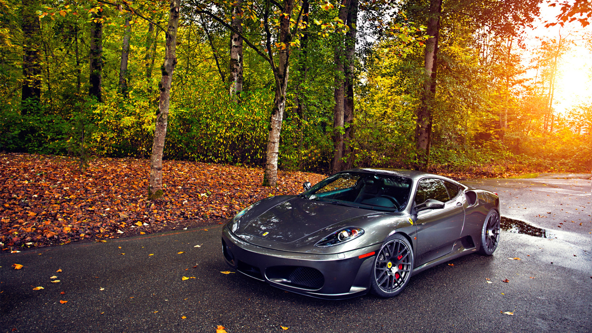 430, tuning, autumn, leaf, green, silver, sun, ferrari, wheels, trees