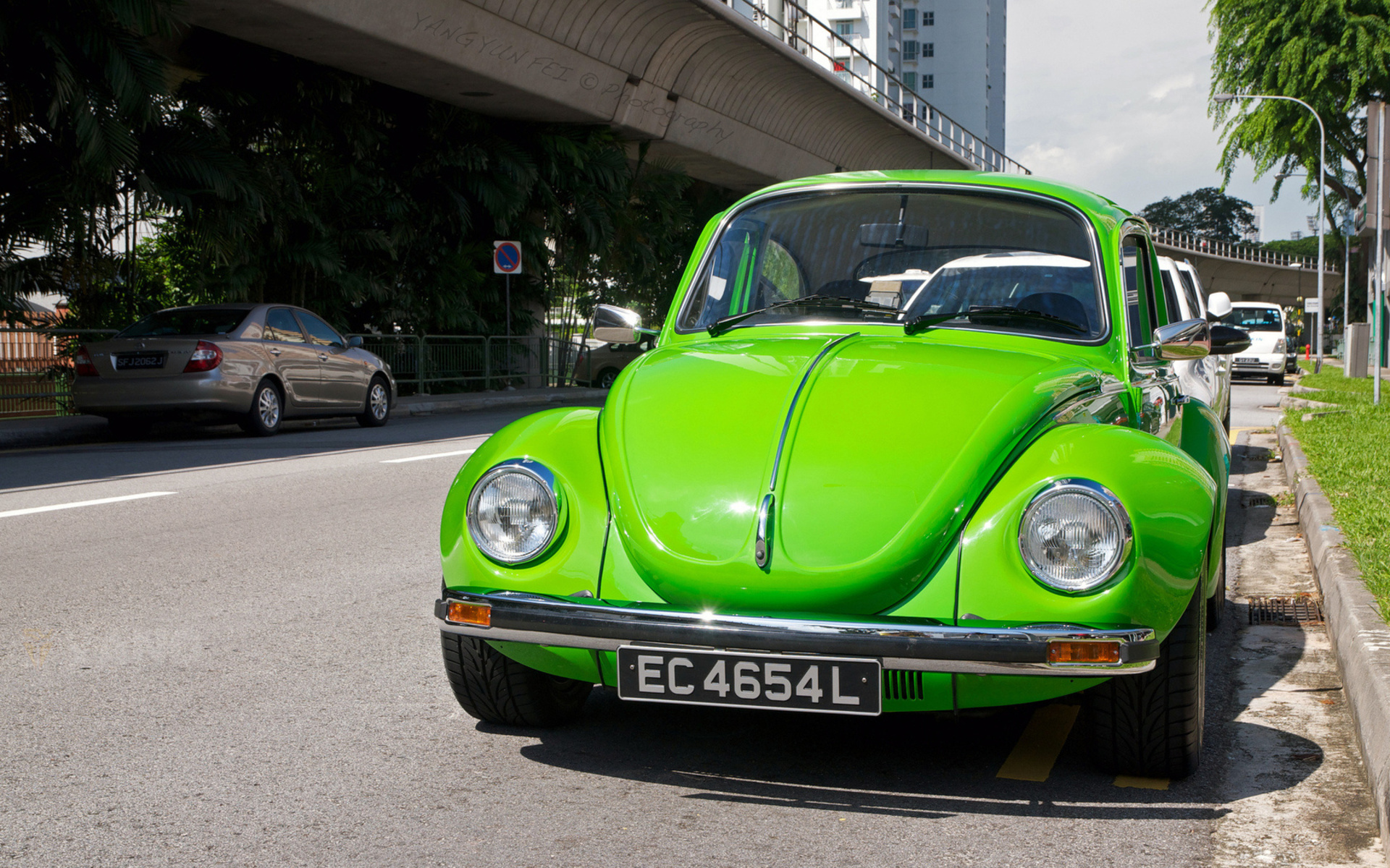 volkswagen beetle, , 