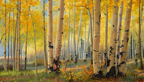 pillars of gold, , kay witherspoon