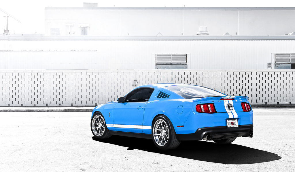 mustang, gt500, , Ford, , shelby, , , blue