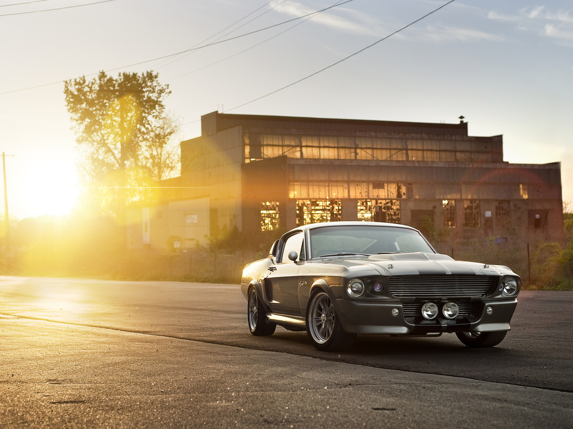 eleanor, shelby, , silvery, ford, front, muscle car, gt 500