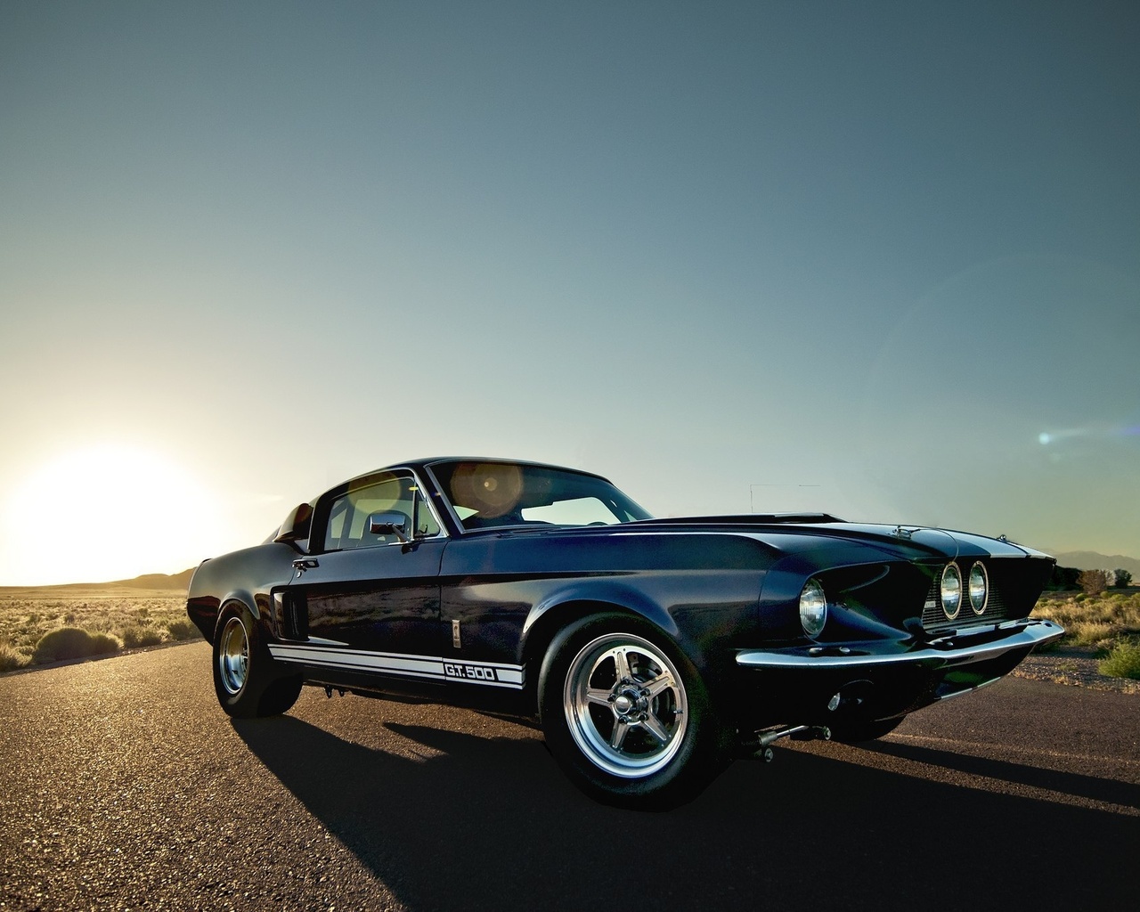 , , ford, shelby, , mustang, gt 500