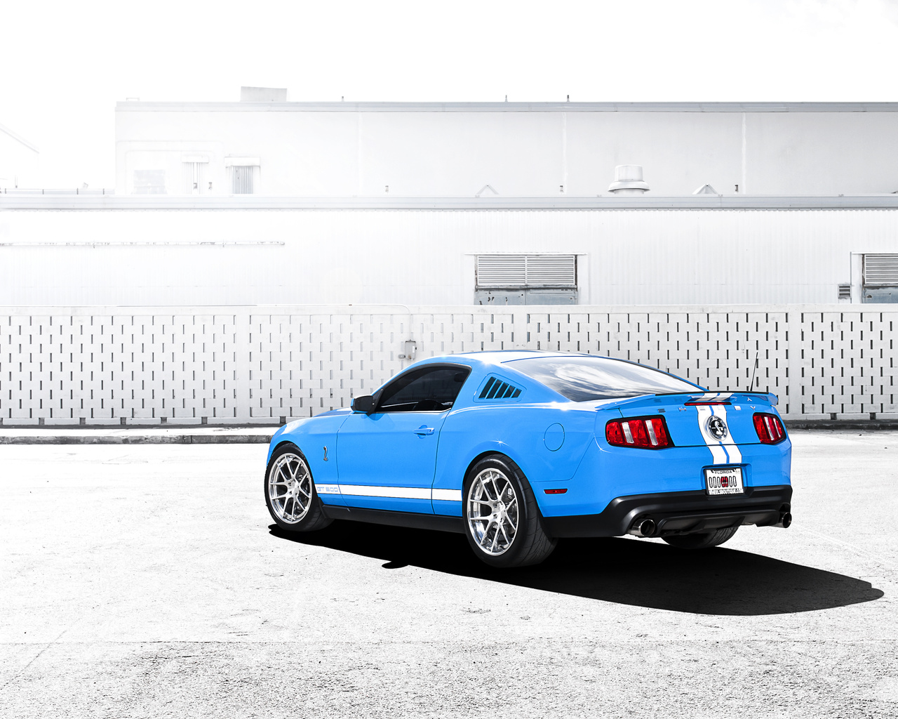 mustang, gt500, , Ford, , shelby, , , blue