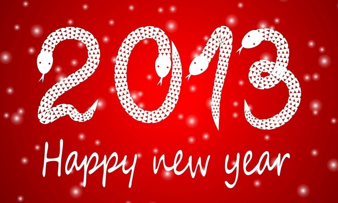  ,  2013 , happy new year