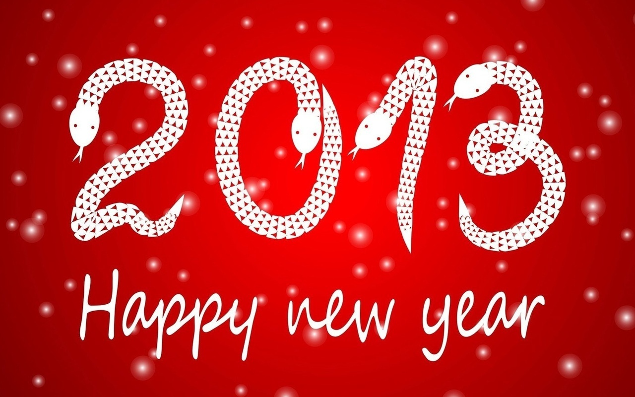  ,  2013 , happy new year