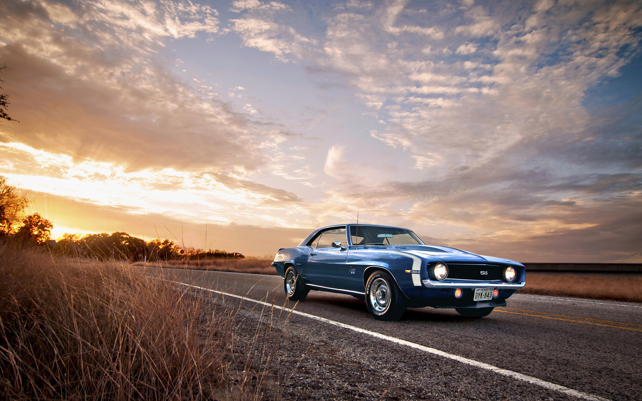 camaro, chevrolet, american, 1969, ss, blue, classic