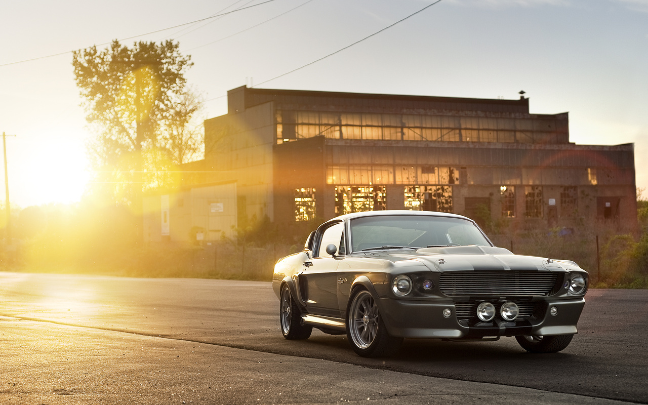 eleanor, shelby, , silvery, ford, front, muscle car, gt 500