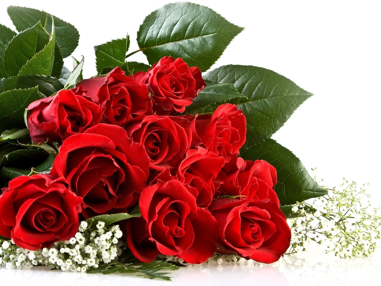 , roses, , ,  