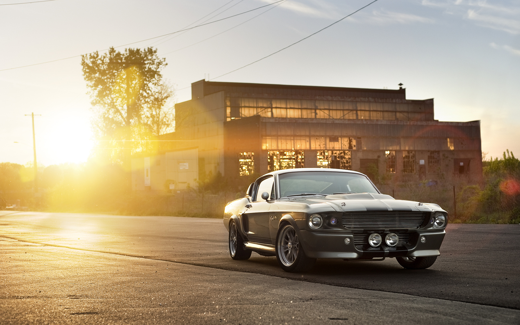 eleanor, shelby, , silvery, ford, front, muscle car, gt 500