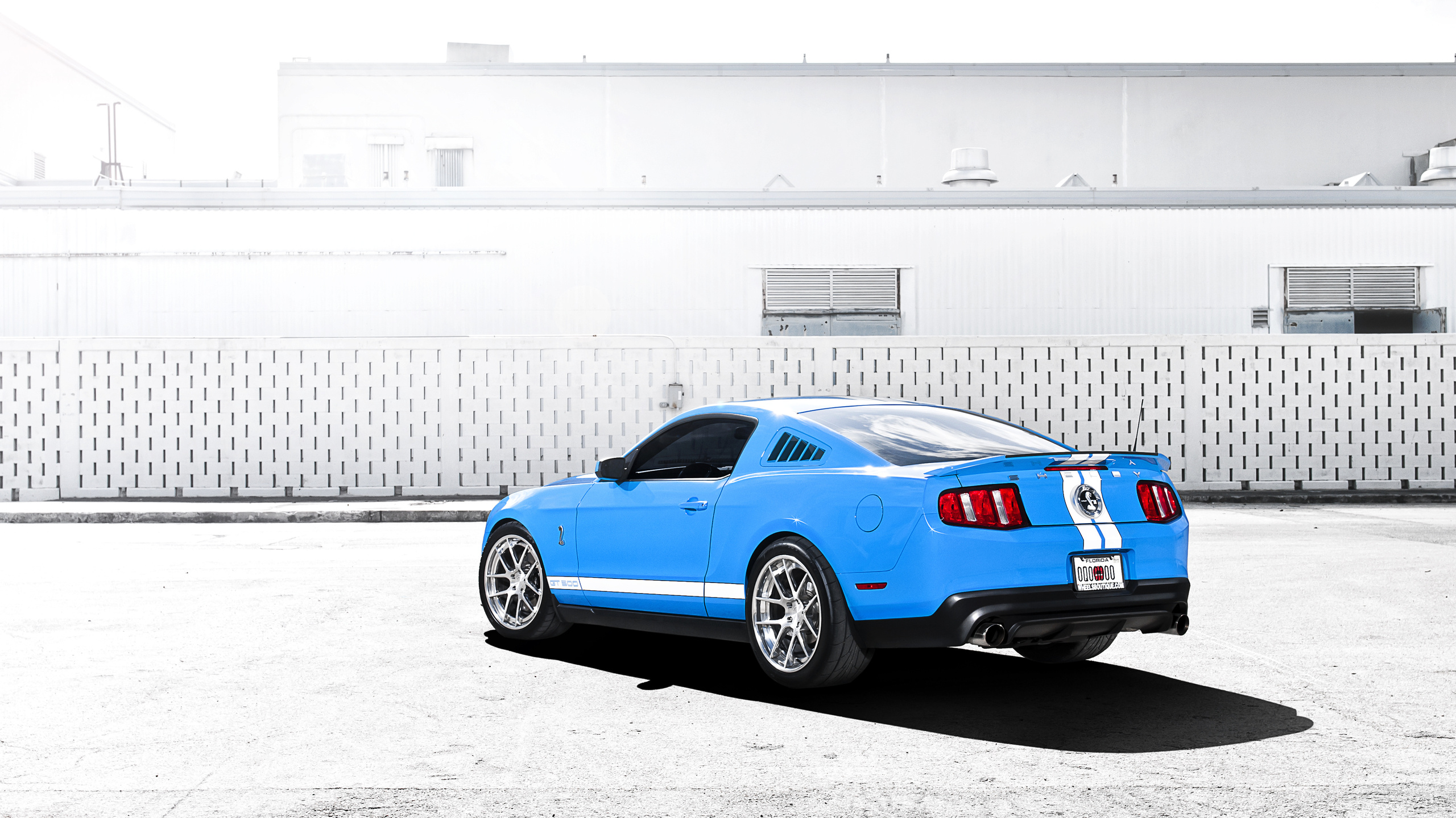 mustang, gt500, , Ford, , shelby, , , blue