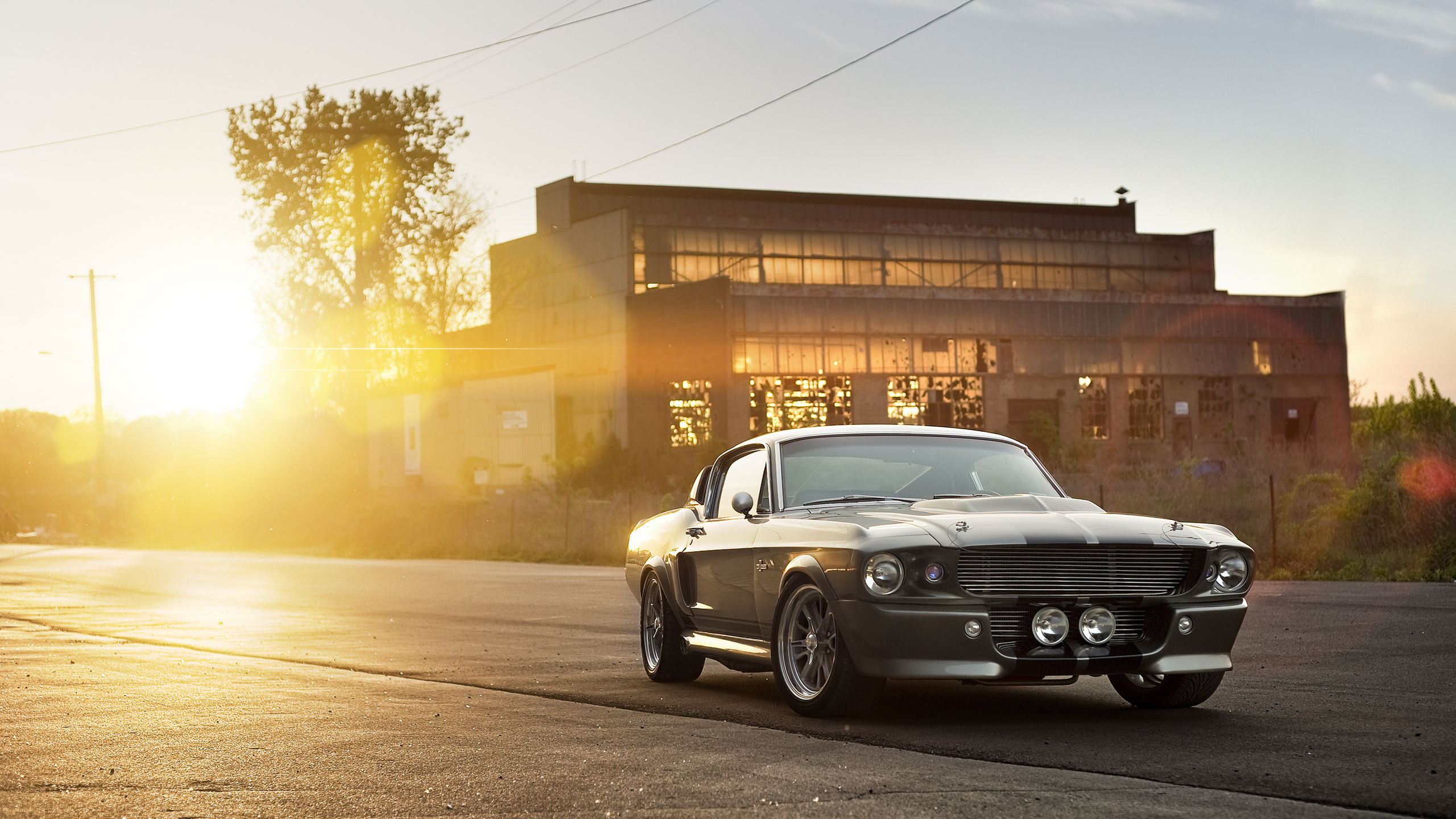 eleanor, shelby, , silvery, ford, front, muscle car, gt 500