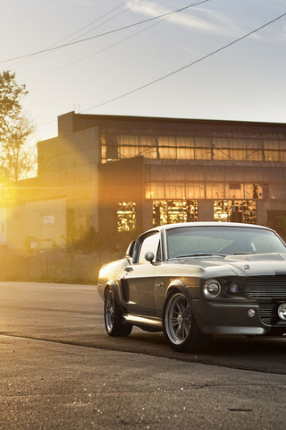 eleanor, shelby, , silvery, ford, front, muscle car, gt 500