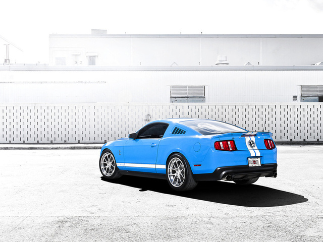 mustang, gt500, , Ford, , shelby, , , blue