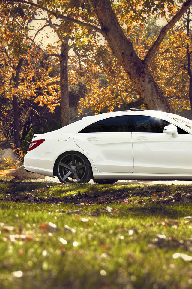 , , mercedes benz cls, 