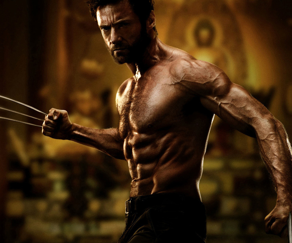 hugh jackman, logan, wolverine, ,  , the wolverine