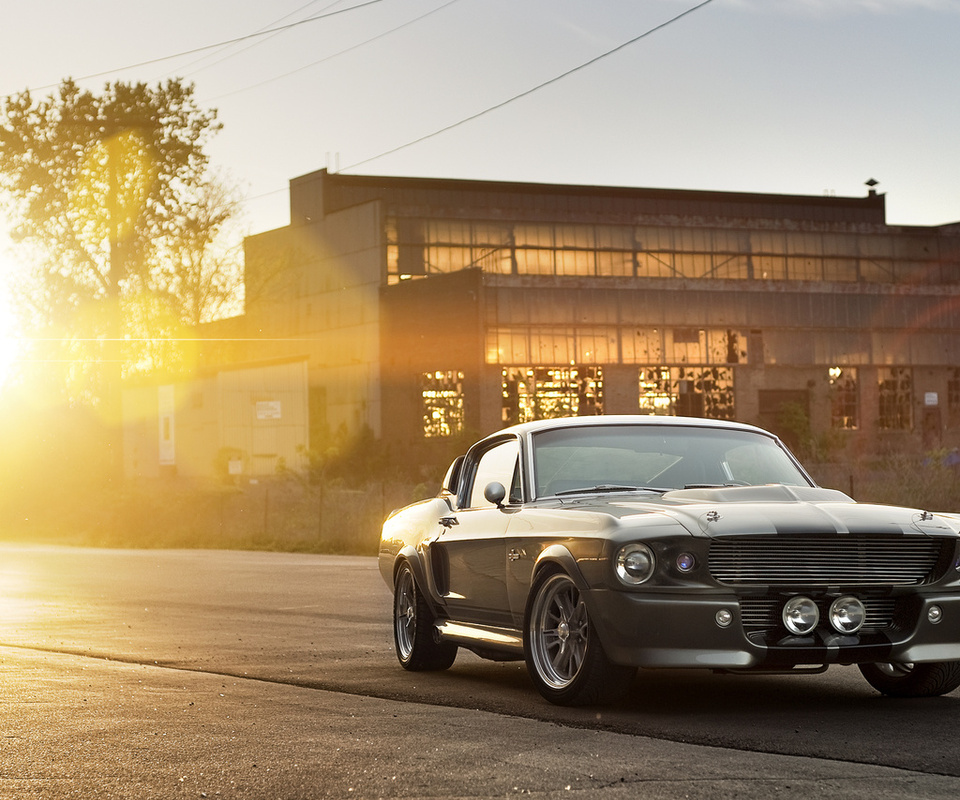 eleanor, shelby, , silvery, ford, front, muscle car, gt 500