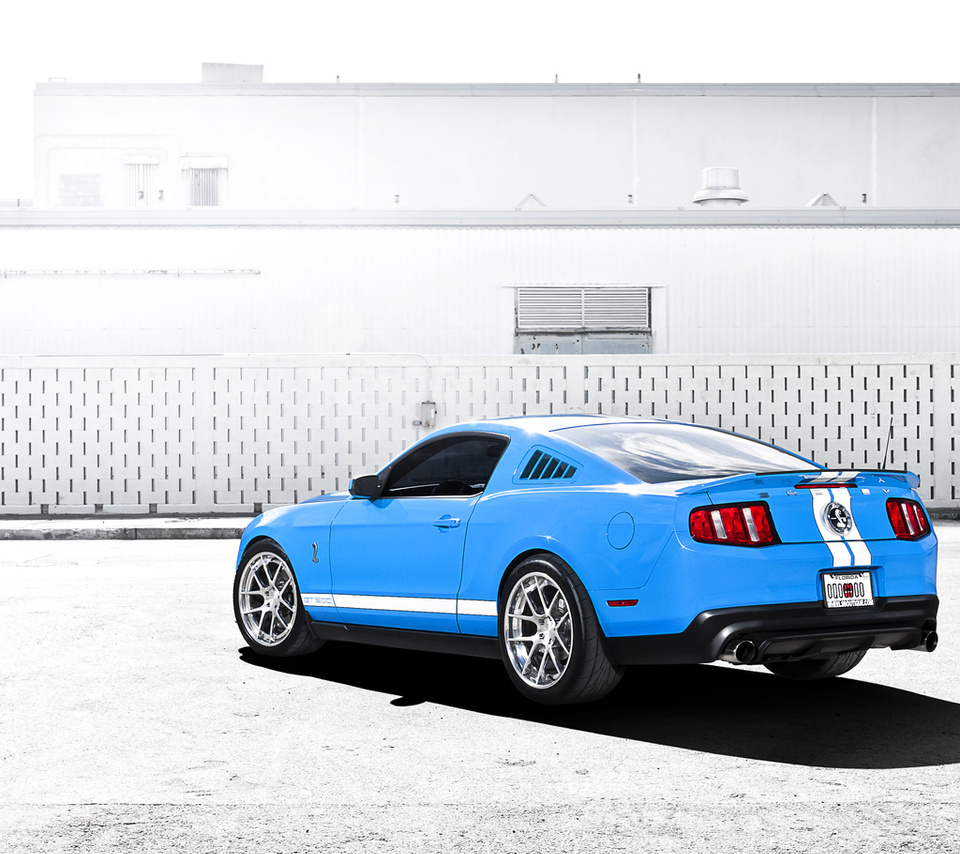 mustang, gt500, , Ford, , shelby, , , blue