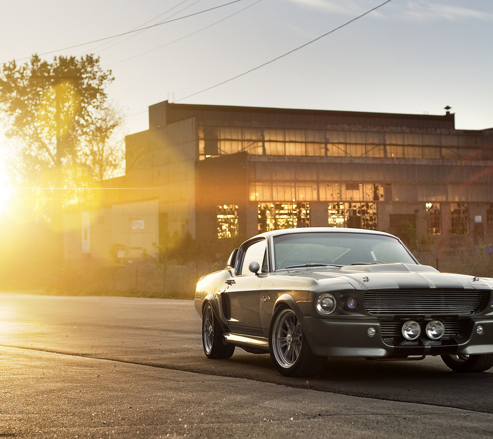 eleanor, shelby, , silvery, ford, front, muscle car, gt 500