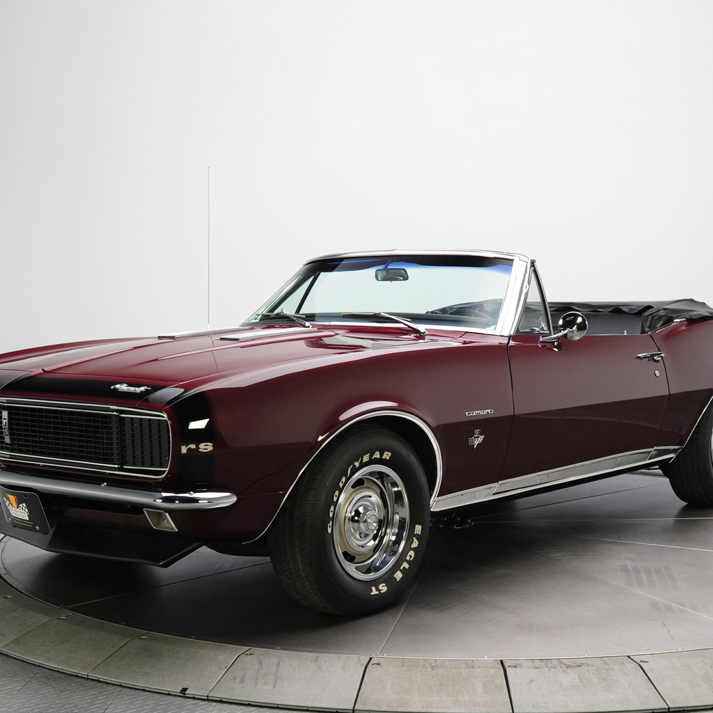 , Chevrolet, muscle car, , camaro, convertible, 1967, 