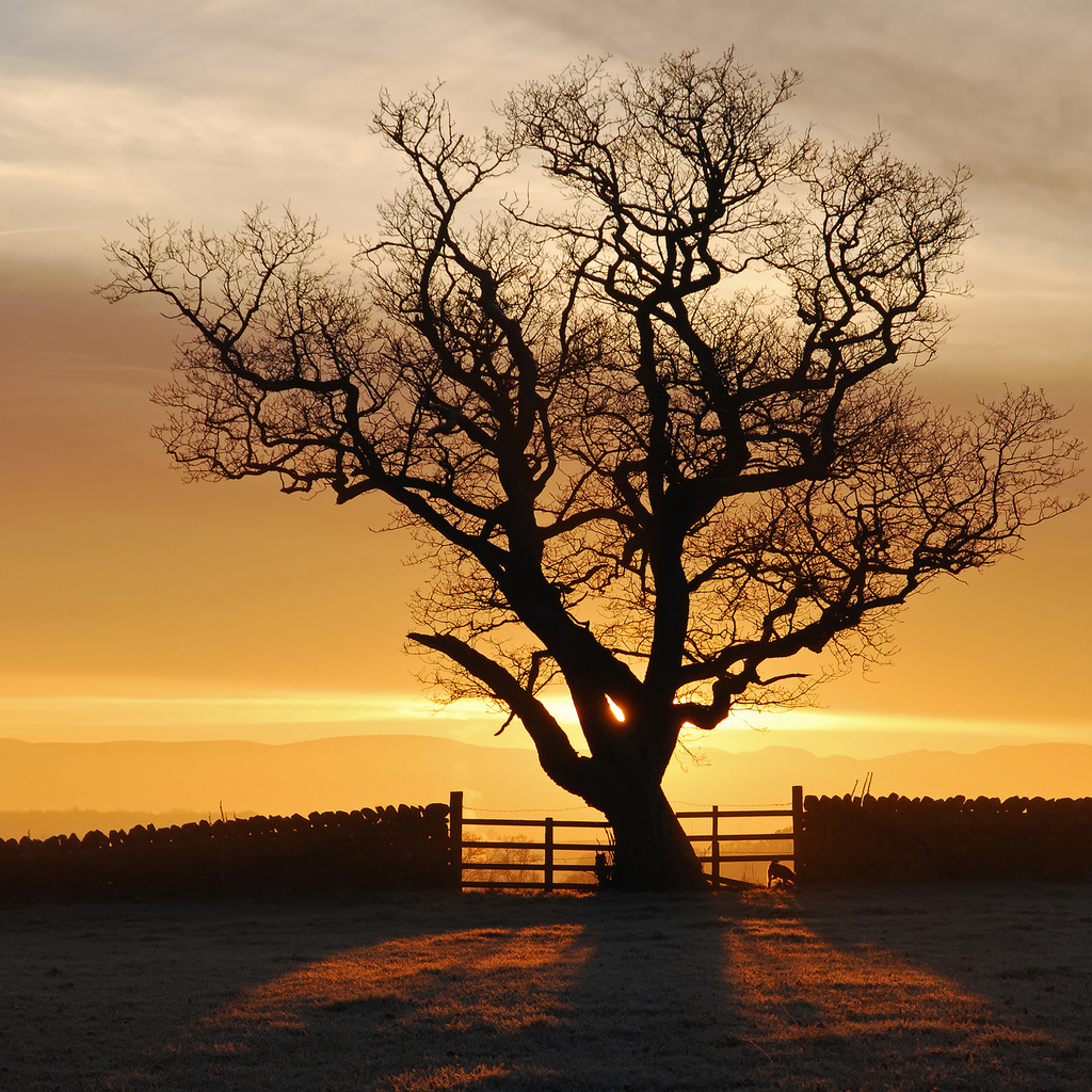 , , , , eden valley