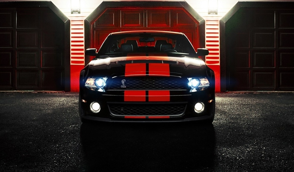shelby, ronaldo stewart photography, gt500, cobra, ford, mustang