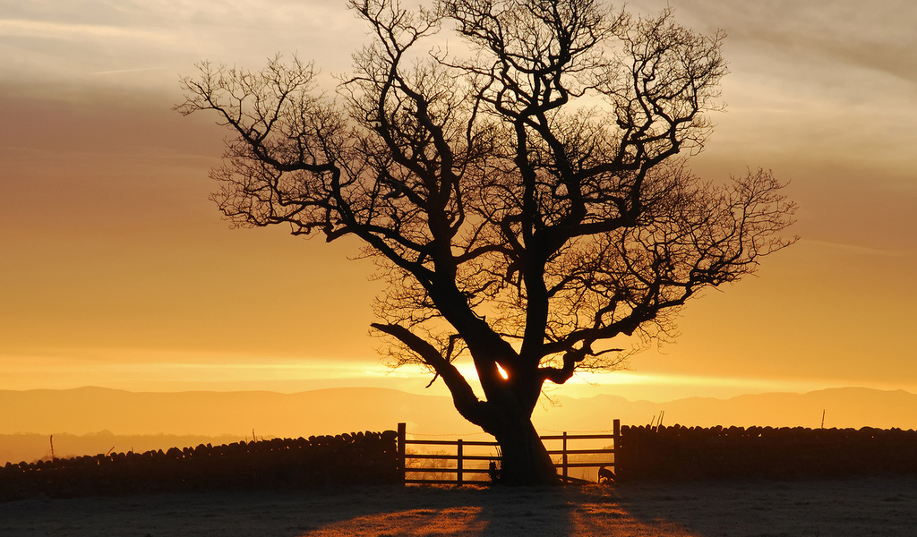 , , , , eden valley