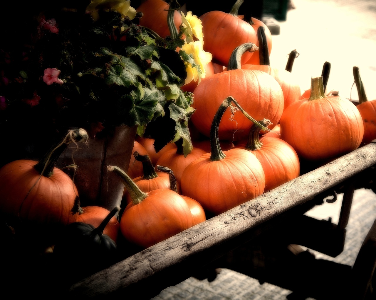 fall, cart, Pumpkins, orange, autumn