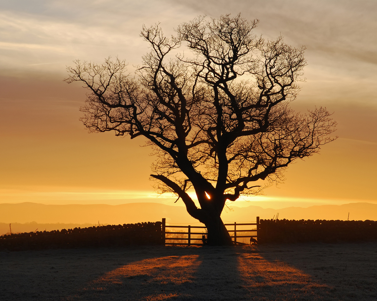 , , , , eden valley