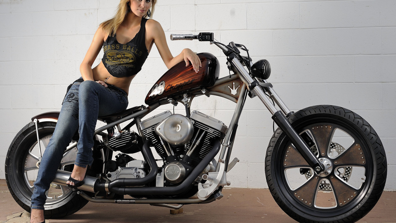 classic bobber, custom harley-davidson, , 