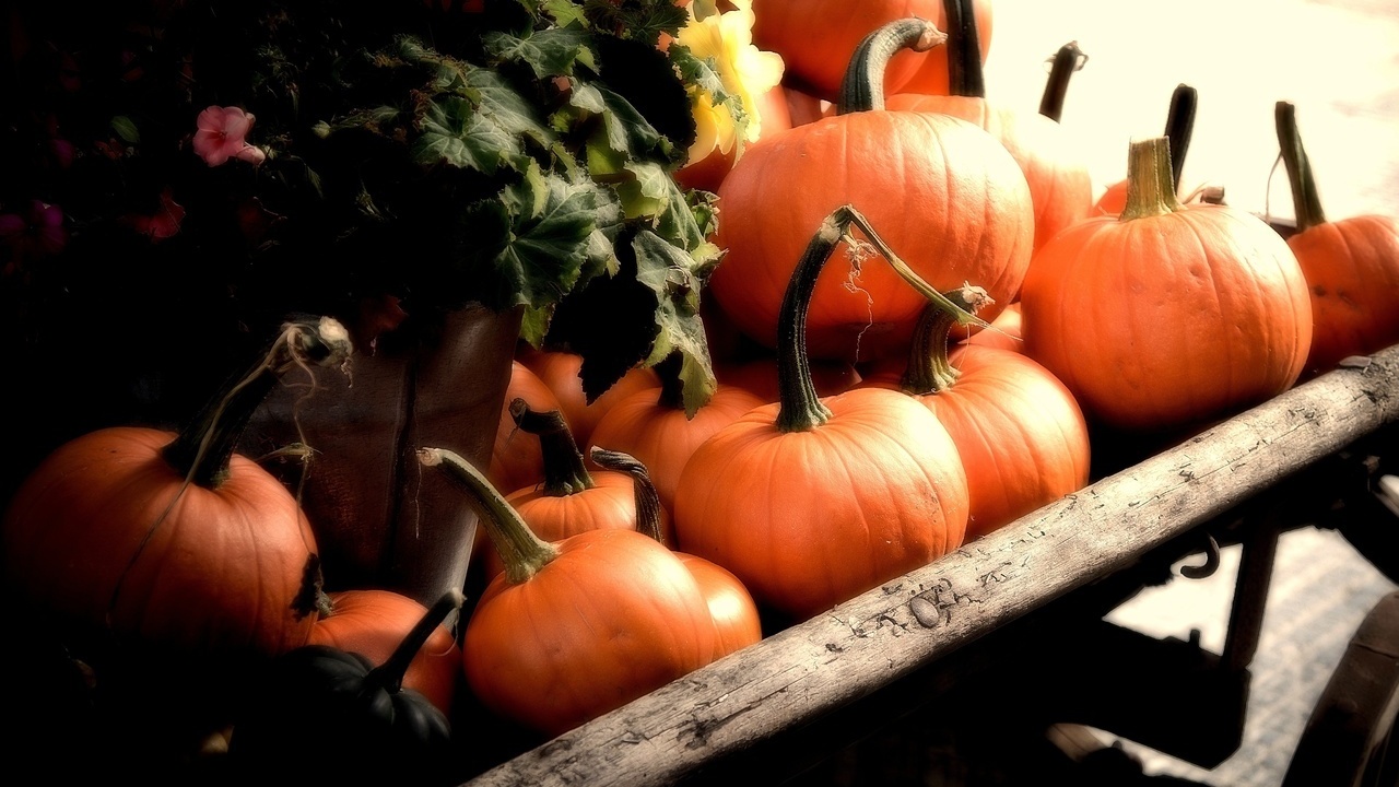 fall, cart, Pumpkins, orange, autumn