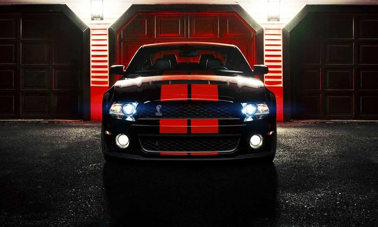 shelby, ronaldo stewart photography, gt500, cobra, ford, mustang