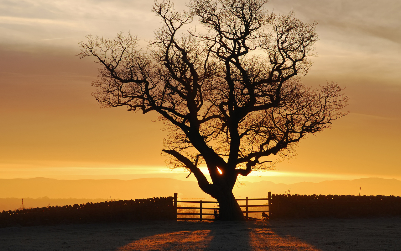 , , , , eden valley