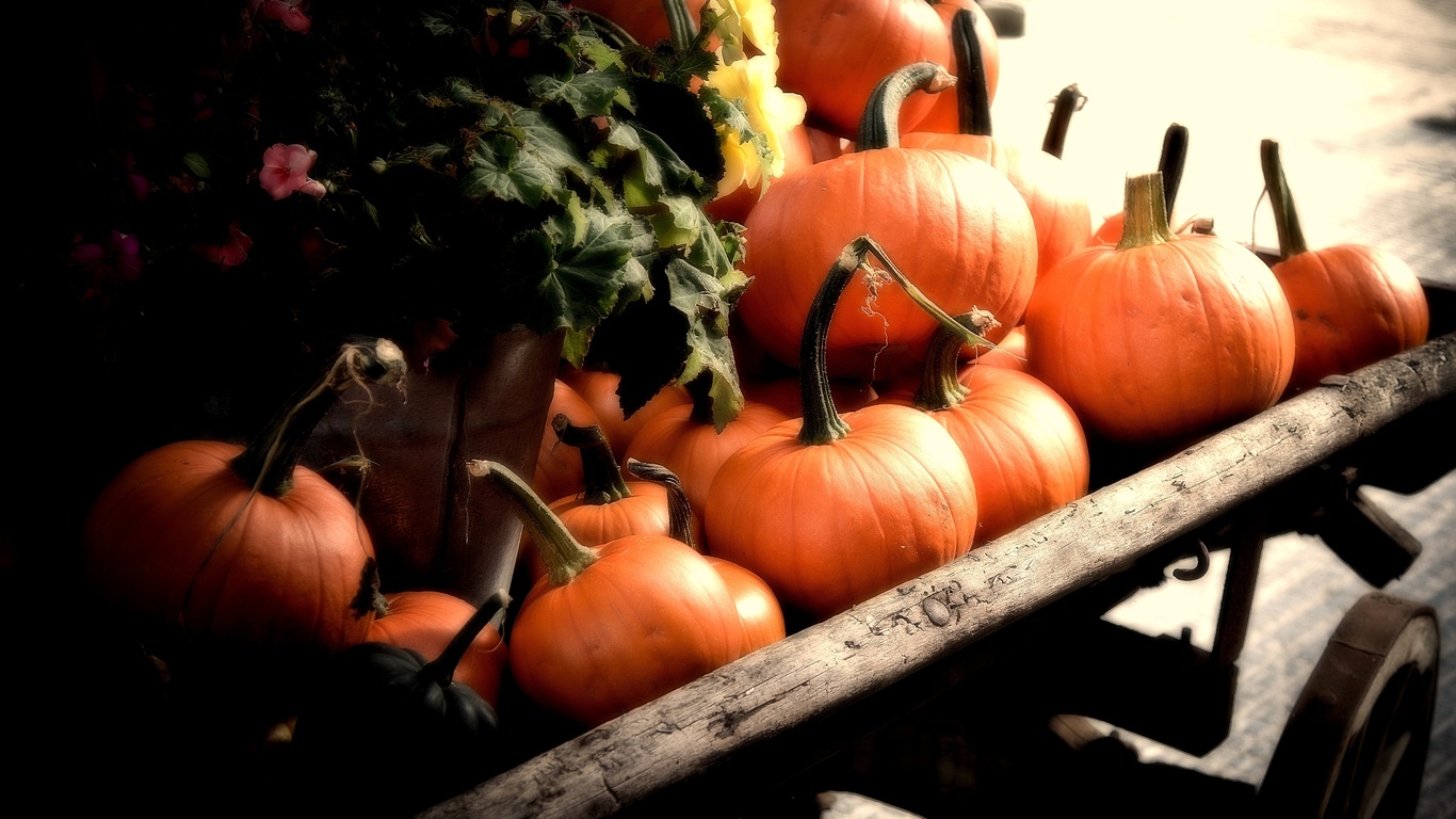 fall, cart, Pumpkins, orange, autumn
