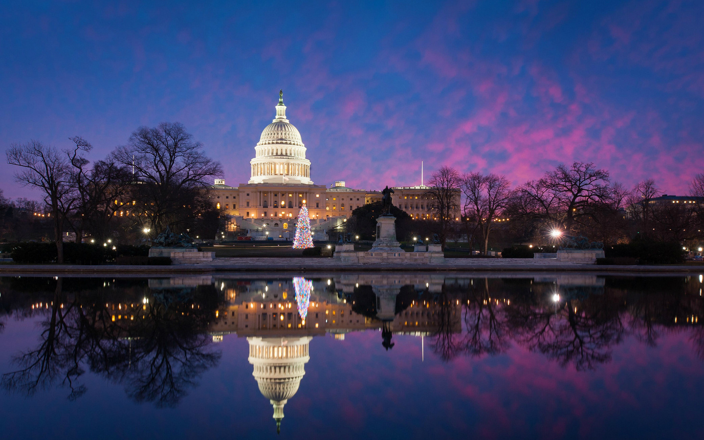 usa, park, meeting place, washington, united states capitol, evening