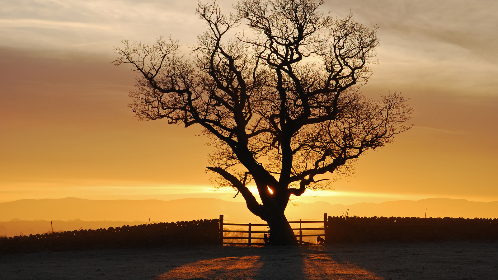 , , , , eden valley