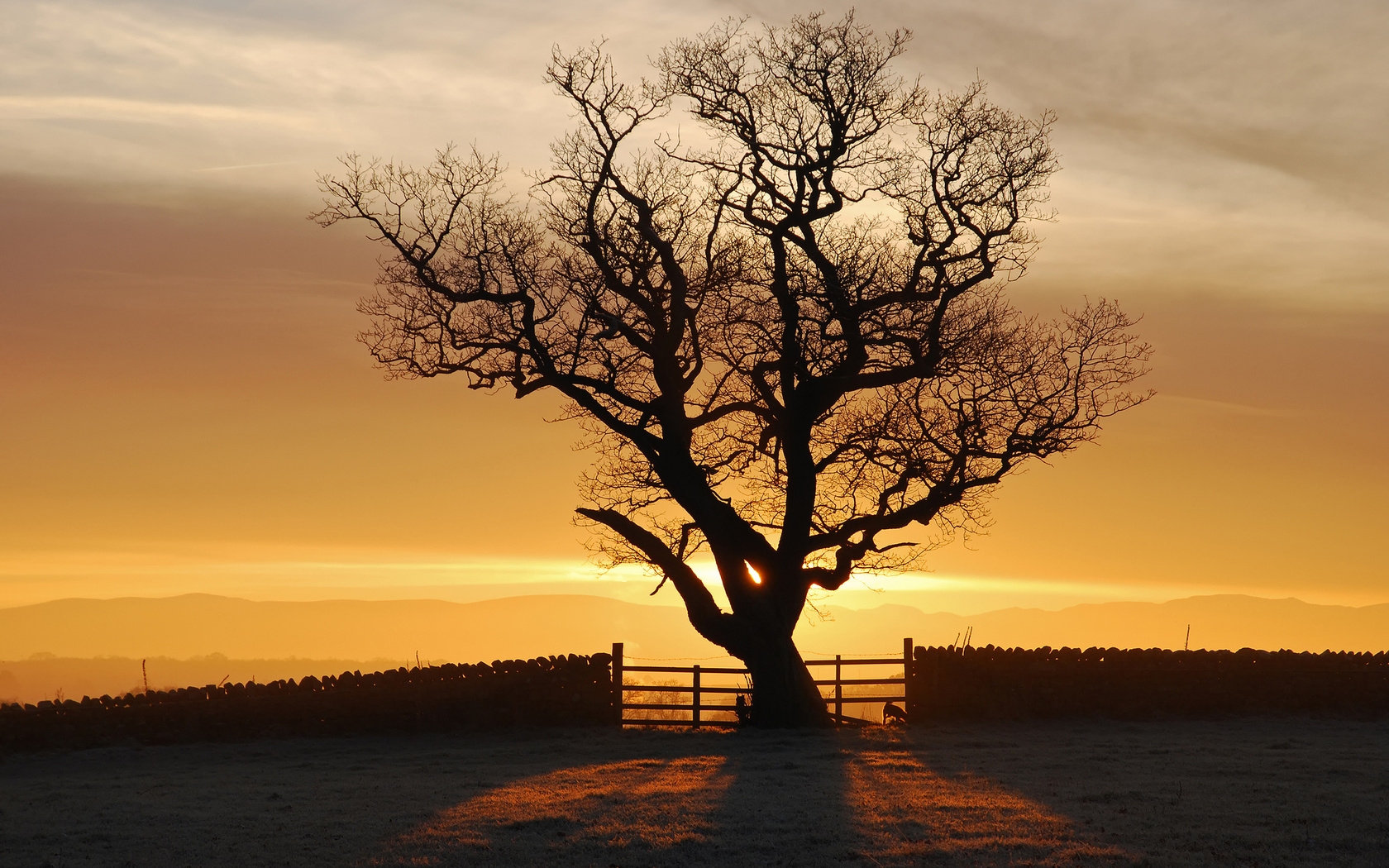 , , , , eden valley