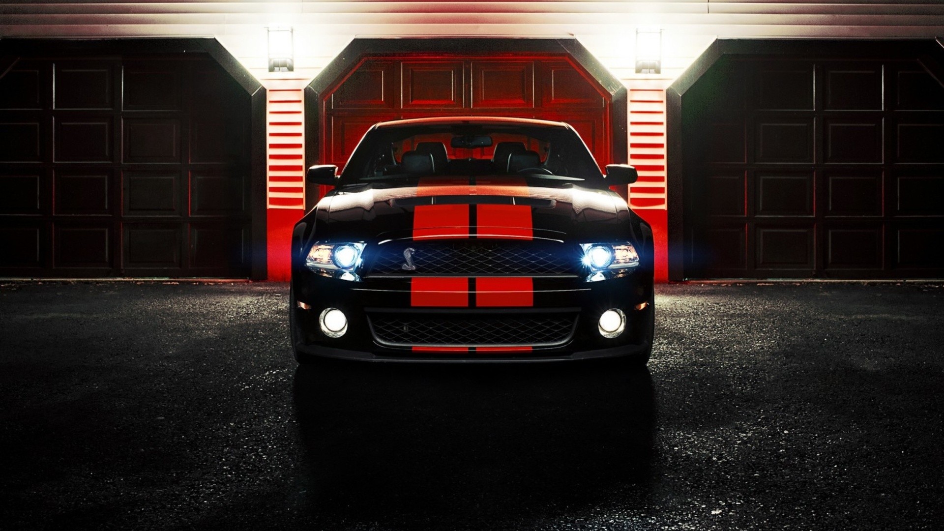 shelby, ronaldo stewart photography, gt500, cobra, ford, mustang