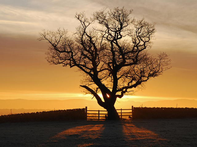 , , , , eden valley