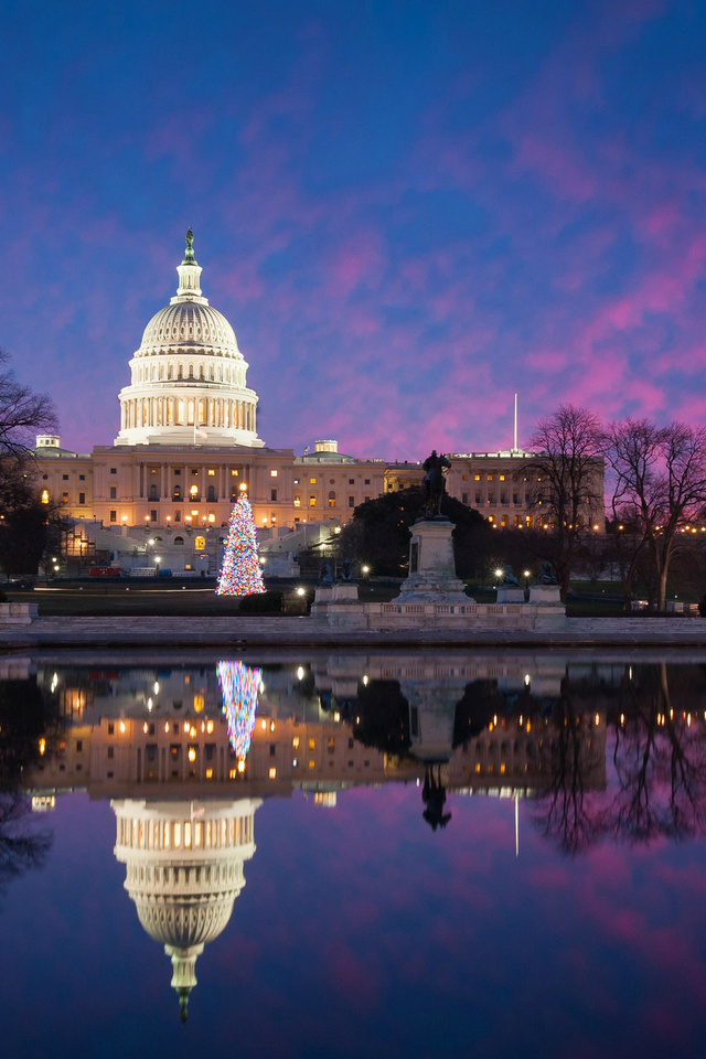 usa, park, meeting place, washington, united states capitol, evening