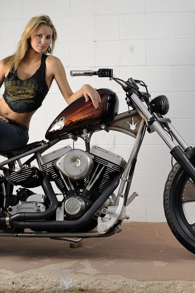 classic bobber, custom harley-davidson, , 