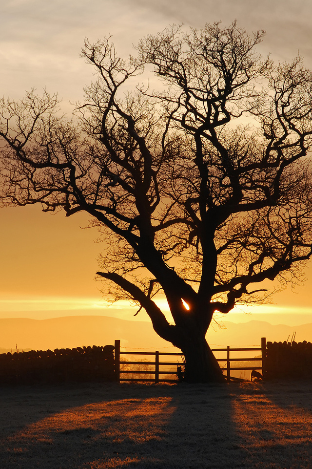 , , , , eden valley