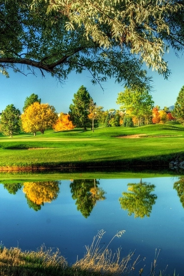 golf, sunny, course