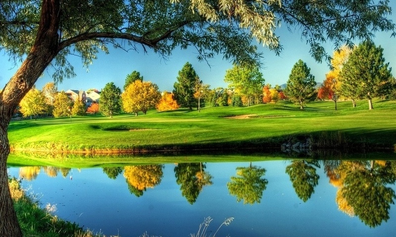 golf, sunny, course