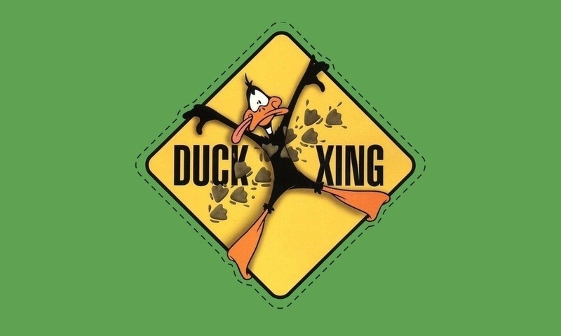 , Daffy duck, green, looney tunes