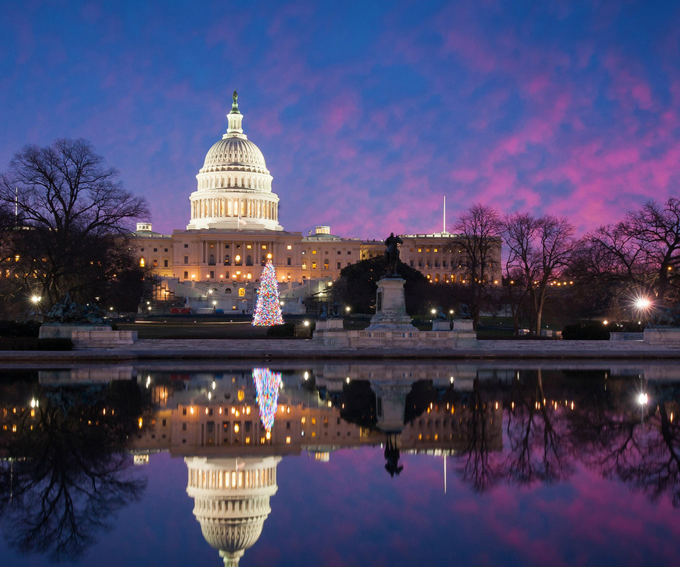 usa, park, meeting place, washington, united states capitol, evening